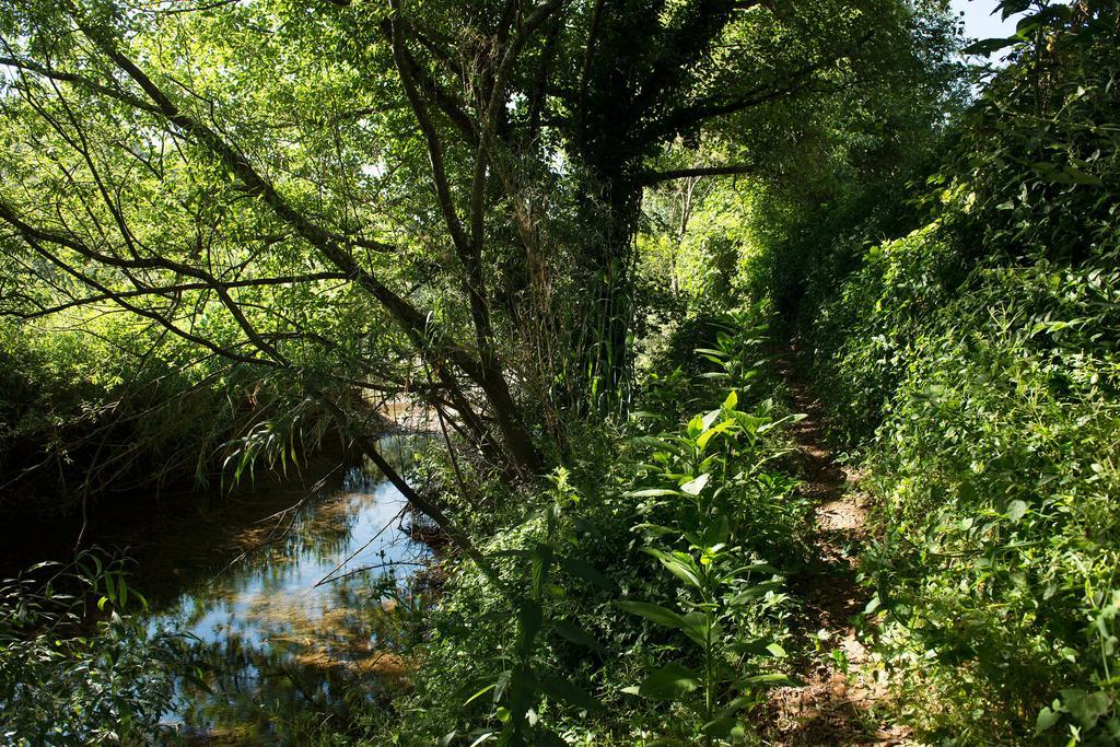 Recanto Da Ribeira Casas De Campo Monchique Esterno foto